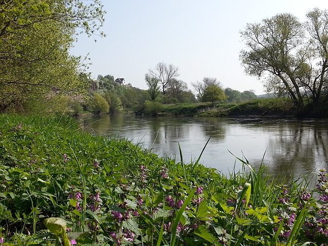 So sch&ouml;n ist Burgwerben