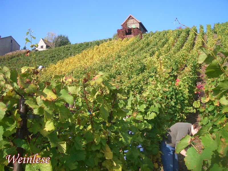 So sch&ouml;n ist Burgwerben