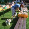 2012-06-23_buechermarkt_037.jpg