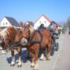 2007-04-01_Bauernmarkt_29.jpg