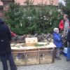 2009-11-28_Weihnachtsmarkt_45.jpg