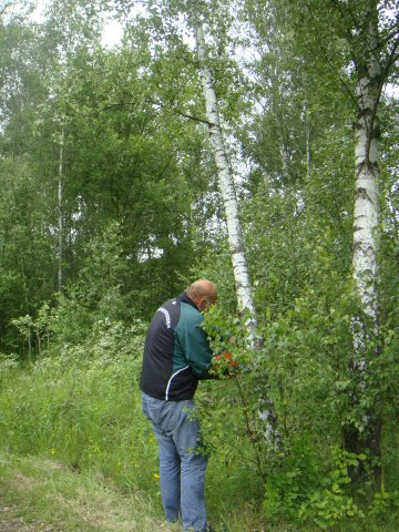 2009-05-29_pfingsten_007.jpg